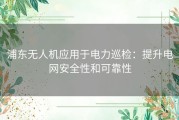 浦东无人机应用于电力巡检：提升电网安全性和可靠性