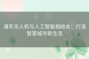 浦东无人机与人工智能相结合：打造智慧城市新生态