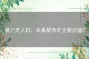 暴力无人机：未来战争的主要武器？