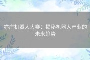 亦庄机器人大赛：揭秘机器人产业的未来趋势