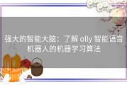 强大的智能大脑：了解 olly 智能语音机器人的机器学习算法