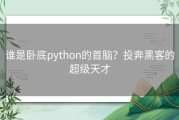 谁是卧底python的首脑？投奔黑客的超级天才