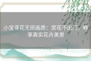 小宝寻花无损画质：赏花不出门，畅享真实花卉美景