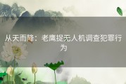 从天而降：老鹰捉无人机调查犯罪行为