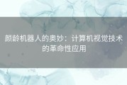 颜龄机器人的奥妙：计算机视觉技术的革命性应用