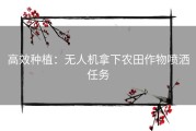 高效种植：无人机拿下农田作物喷洒任务