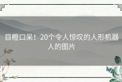 目瞪口呆！20个令人惊叹的人形机器人的图片