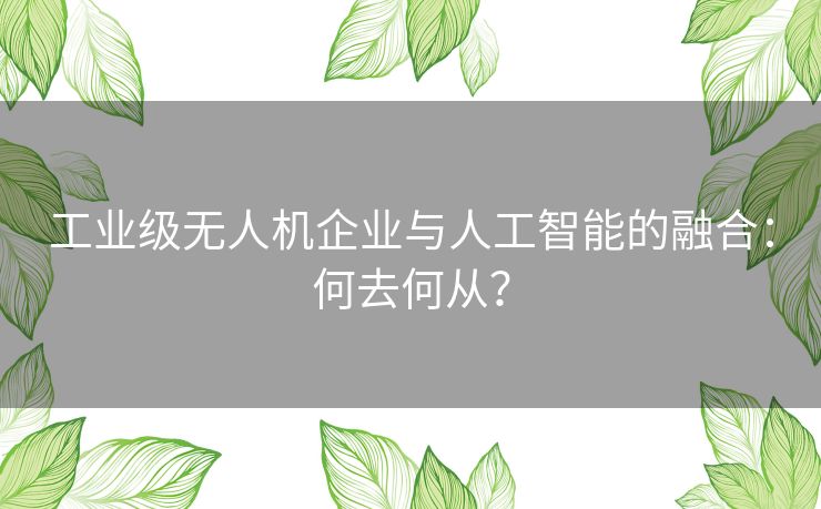 工业级无人机企业与人工智能的融合：何去何从？