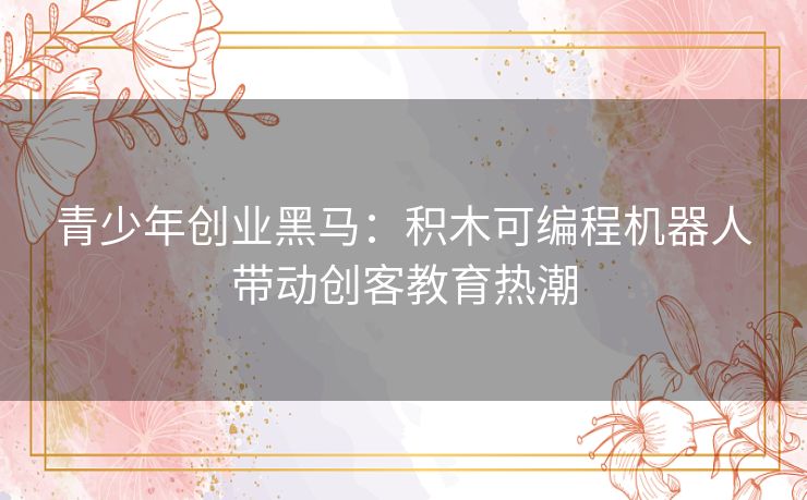 青少年创业黑马：积木可编程机器人带动创客教育热潮