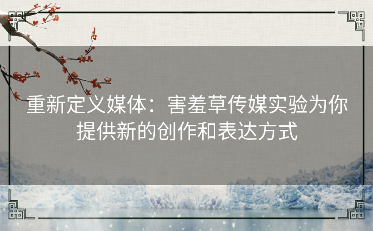 重新定义媒体：害羞草传媒实验为你提供新的创作和表达方式