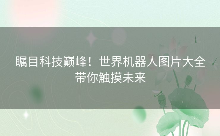 瞩目科技巅峰！世界机器人图片大全带你触摸未来