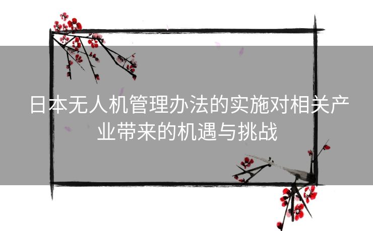 日本无人机管理办法的实施对相关产业带来的机遇与挑战