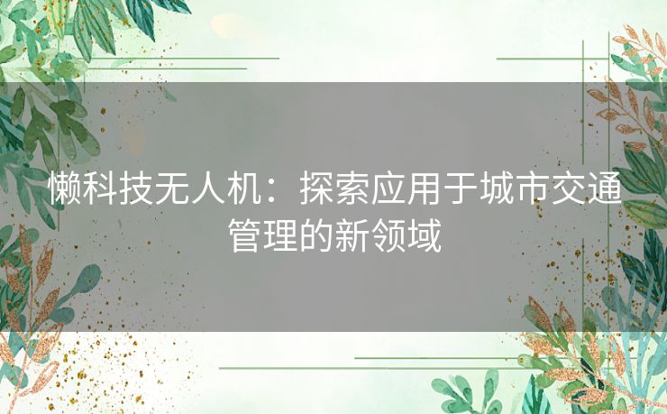 懒科技无人机：探索应用于城市交通管理的新领域