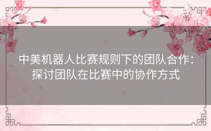 中美机器人比赛规则下的团队合作：探讨团队在比赛中的协作方式