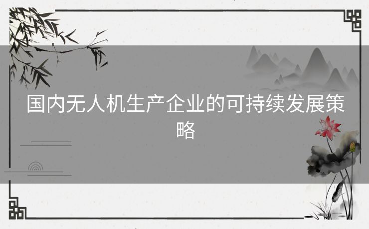 国内无人机生产企业的可持续发展策略