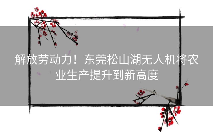 解放劳动力！东莞松山湖无人机将农业生产提升到新高度