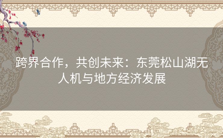 跨界合作，共创未来：东莞松山湖无人机与地方经济发展