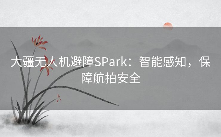 大疆无人机避障SPark：智能感知，保障航拍安全