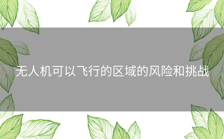 无人机可以飞行的区域的风险和挑战