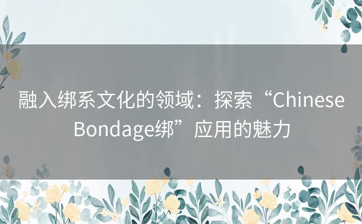 融入绑系文化的领域：探索“ChineseBondage绑”应用的魅力