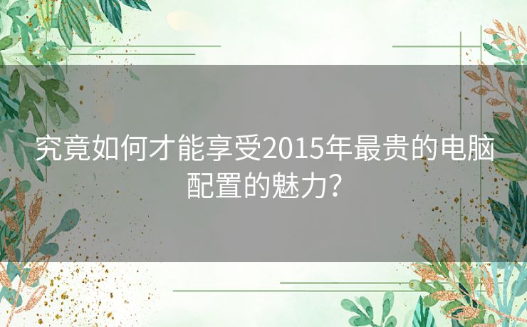 究竟如何才能享受2015年最贵的电脑配置的魅力？