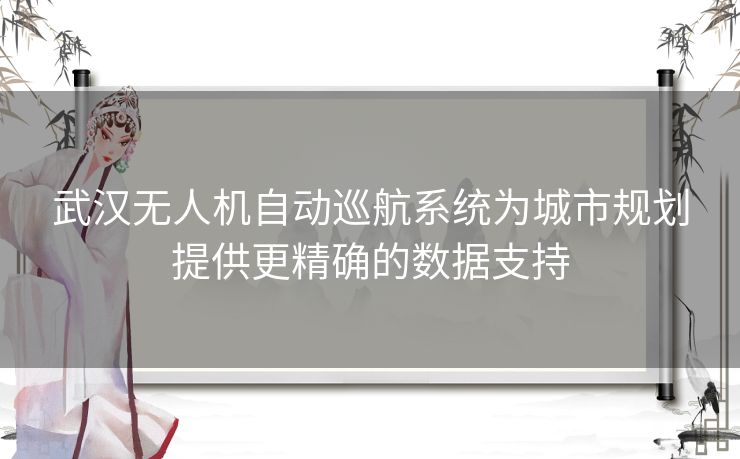 武汉无人机自动巡航系统为城市规划提供更精确的数据支持