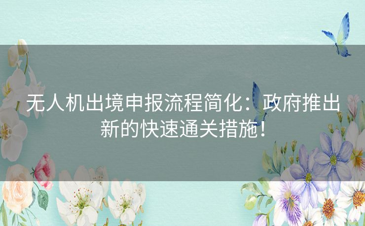 无人机出境申报流程简化：政府推出新的快速通关措施！