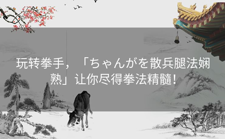 玩转拳手，「ちゃんがを散兵腿法娴熟」让你尽得拳法精髓！