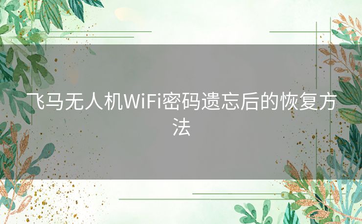 飞马无人机WiFi密码遗忘后的恢复方法