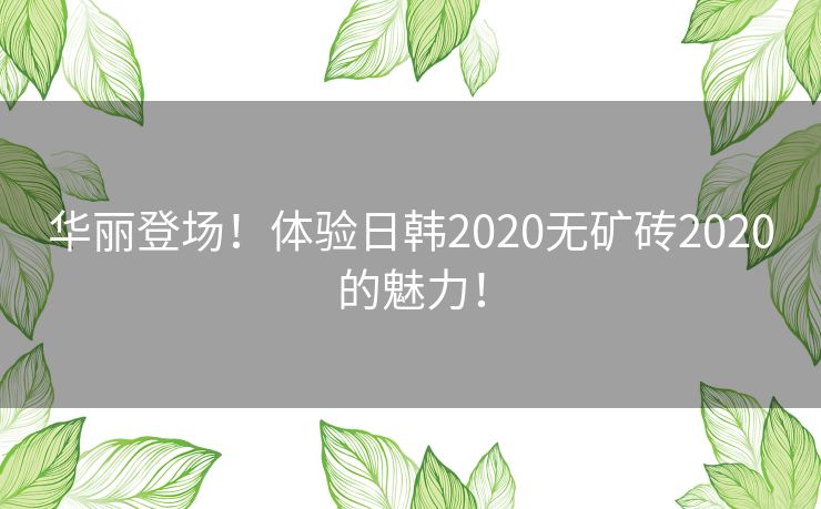 华丽登场！体验日韩2020无矿砖2020的魅力！