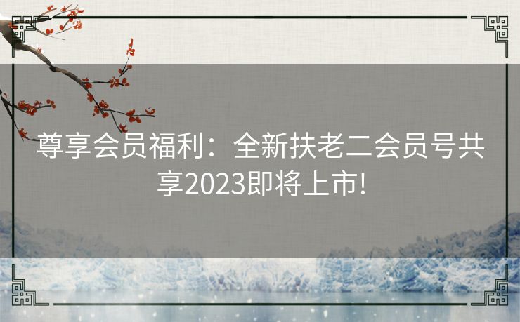 尊享会员福利：全新扶老二会员号共享2023即将上市!