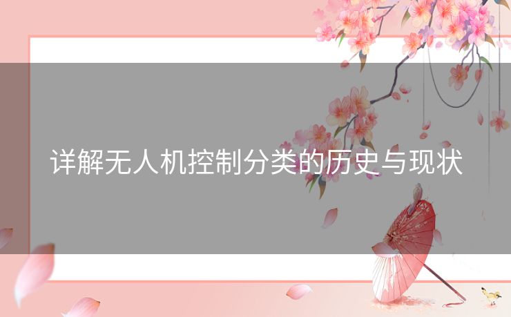 详解无人机控制分类的历史与现状