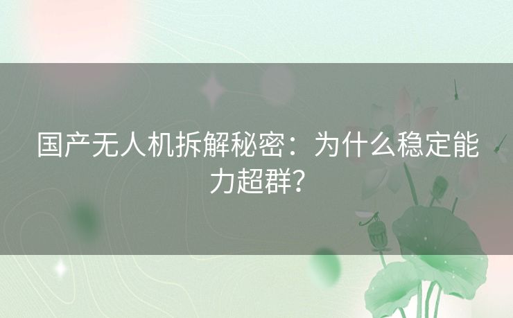 国产无人机拆解秘密：为什么稳定能力超群？