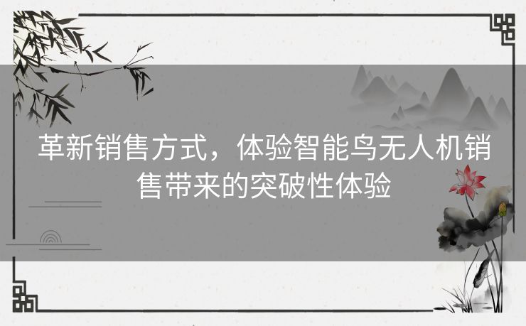 革新销售方式，体验智能鸟无人机销售带来的突破性体验