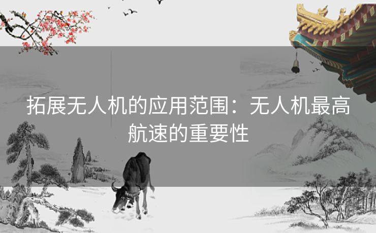 拓展无人机的应用范围：无人机最高航速的重要性