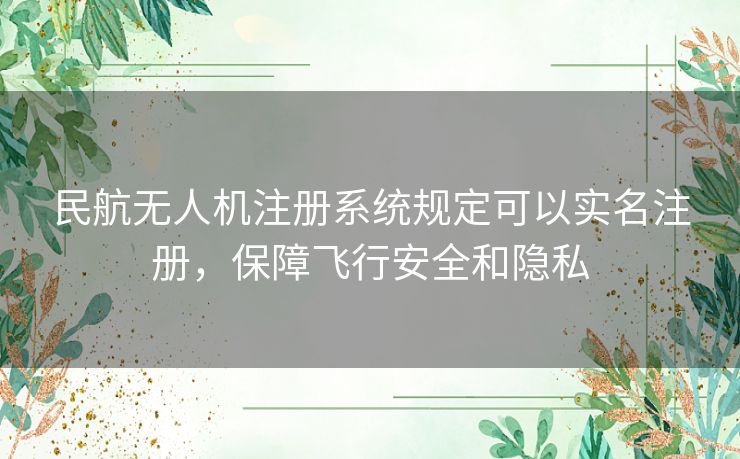 民航无人机注册系统规定可以实名注册，保障飞行安全和隐私