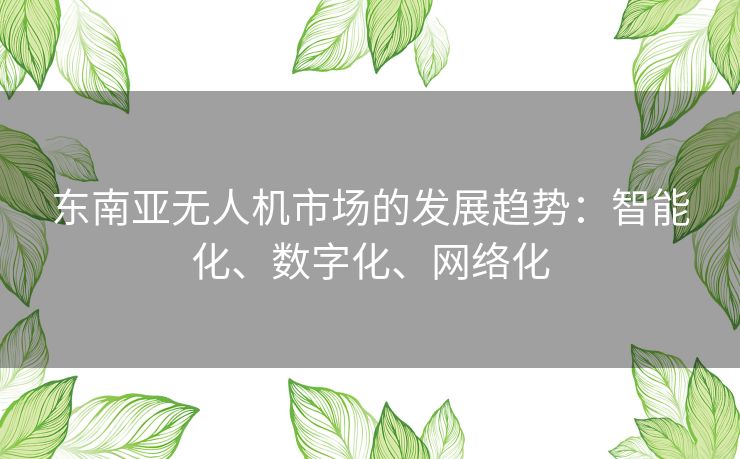 东南亚无人机市场的发展趋势：智能化、数字化、网络化