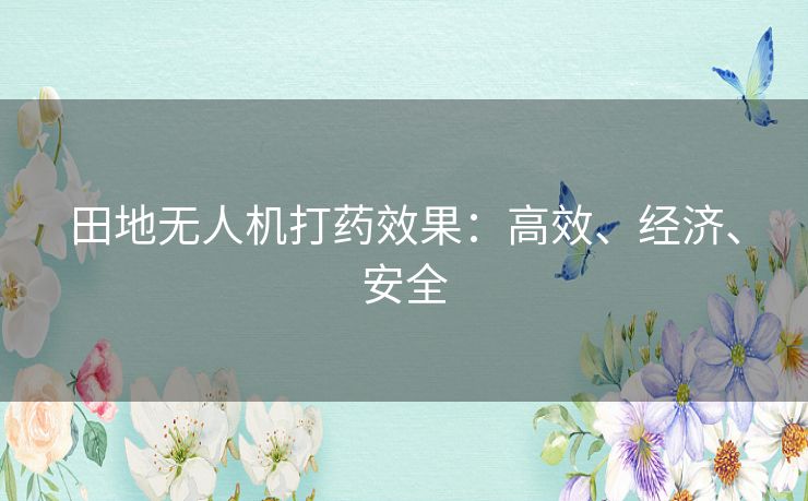 田地无人机打药效果：高效、经济、安全