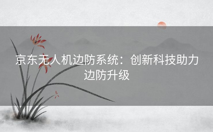 京东无人机边防系统：创新科技助力边防升级