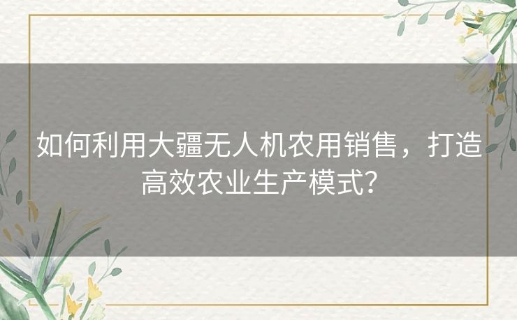 如何利用大疆无人机农用销售，打造高效农业生产模式？