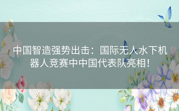 中国智造强势出击：国际无人水下机器人竞赛中中国代表队亮相！