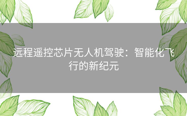 远程遥控芯片无人机驾驶：智能化飞行的新纪元