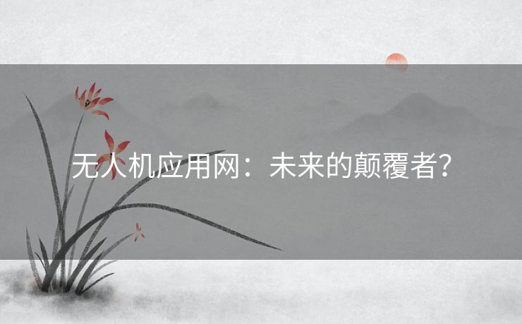 无人机应用网：未来的颠覆者？