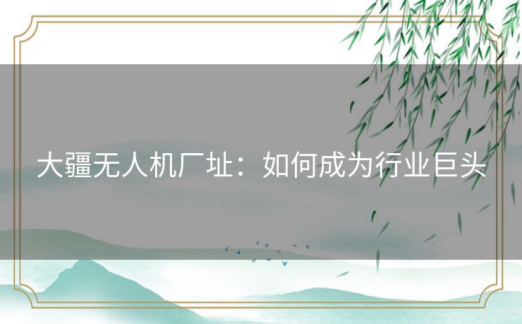 大疆无人机厂址：如何成为行业巨头