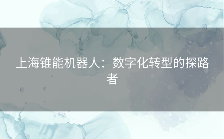 上海锥能机器人：数字化转型的探路者