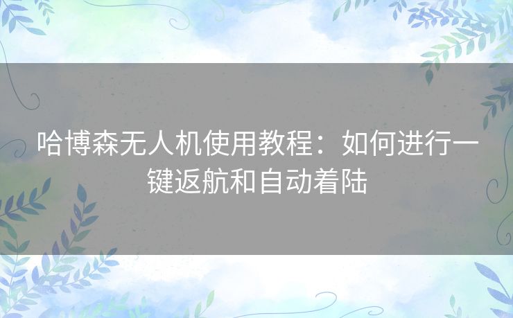 哈博森无人机使用教程：如何进行一键返航和自动着陆