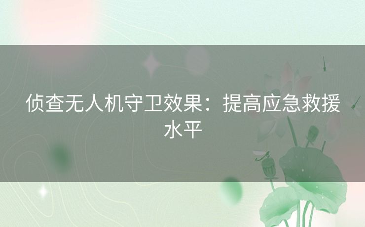 侦查无人机守卫效果：提高应急救援水平