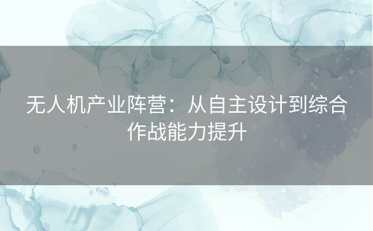 无人机产业阵营：从自主设计到综合作战能力提升