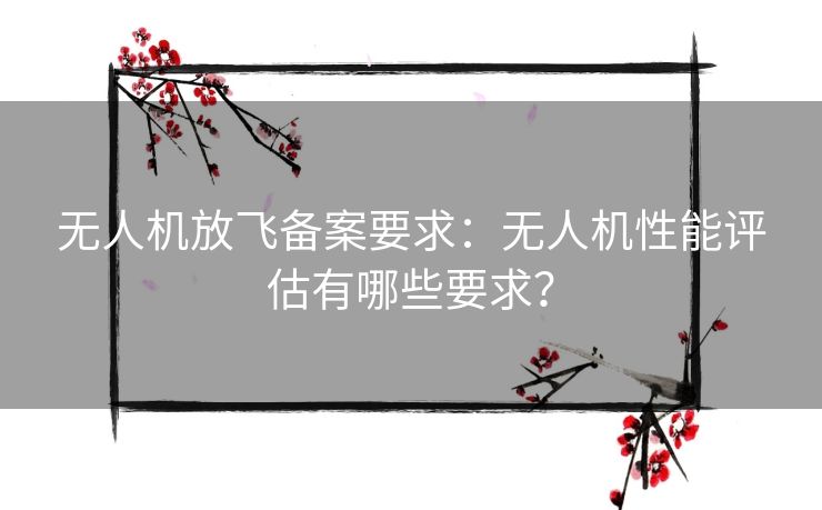 无人机放飞备案要求：无人机性能评估有哪些要求？