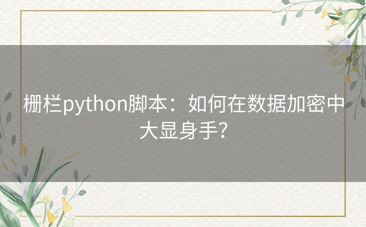 栅栏python脚本：如何在数据加密中大显身手？